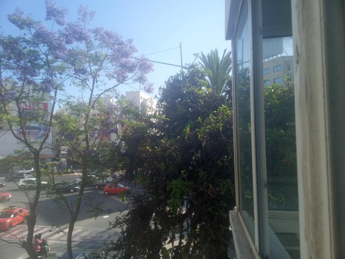 Gauthier One Casablanca
